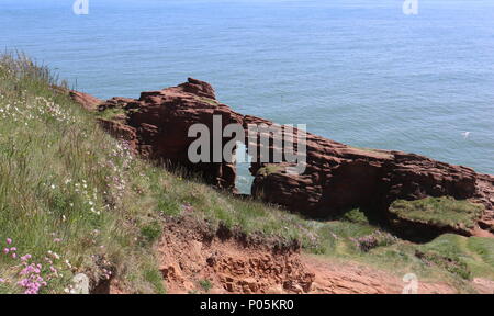 Aiguille E'e rock arch dans le grès rouge des falaises Seaton Angus Scotland Juin 2018 Banque D'Images