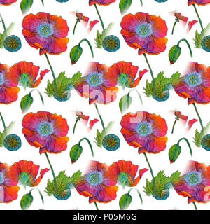 Coquelicots aquarelle dessiné à la main. Isolées. Pour la conception, l'impression et fabric pattern Banque D'Images