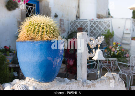 [Страница на сайте] jardin de cactus décoratif sur le mur, près de la mer Banque D'Images