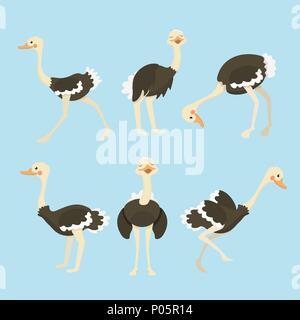 Cute cartoon collection autruche set. Illustration de Vecteur