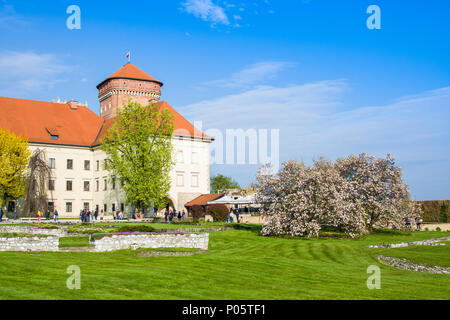 Cracovie, Pologne - 21 avril 2017 : les gens marcher au territoire du château de Wawel Banque D'Images