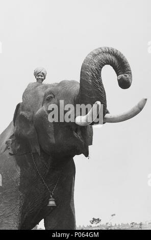Titre original : ELEPHANT BOY. Titre en anglais : ELEPHANT BOY. Directeur de film : ZOLTAN KORDA ; Robert J. Flaherty. Année : 1937. Stars : SABU. Credit : LONDON FILMS / Album Banque D'Images