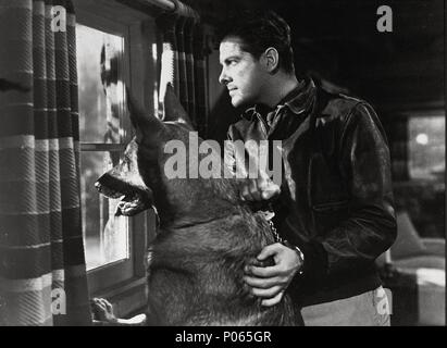 Titre original : SABOTEUR. Titre en anglais : SABOTEUR. Film Réalisateur : Alfred Hitchcock. Année : 1942. Stars : Robert Cummings. Credit : UNIVERSAL PICTURES / Album Banque D'Images