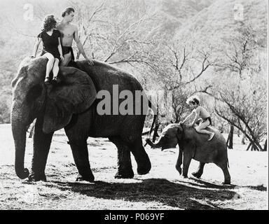 Titre original : TARZAN TROUVE UN FILS !. Titre en anglais : TARZAN TROUVE UN FILS !. Film Directeur : RICHARD THORPE. Année : 1939. Stars : MAUREEN O'SULLIVAN, JOHNNY SHEFFIELD, Johnny Weissmuller. Credit : M.G.M / Album Banque D'Images