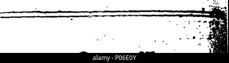 . Anglais : Fleuron du livre : une histoire généalogique de la maison d'Yvery ; dans ses différentes branches d'Yvery, Luvel, Perceval, et Gournay. ... 102 Une histoire généalogique de la maison d'Yvery ; dans ses différentes branches d'Yvery, Luvel, Perceval, et Gournay Fleuron T133377-11 Banque D'Images