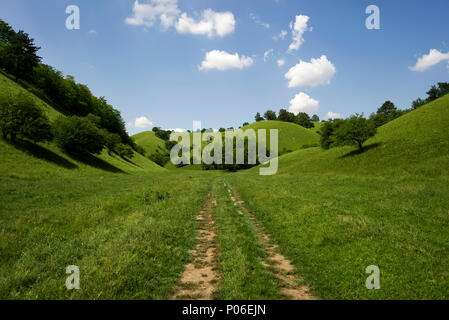 Zagajica hills en Serbie, beau paysage à un jour d'été Banque D'Images