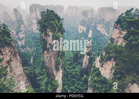 Zhangjiajie Forest Park. De gigantesques montagnes pilier du canyon. La province du Hunan, en Chine. Banque D'Images