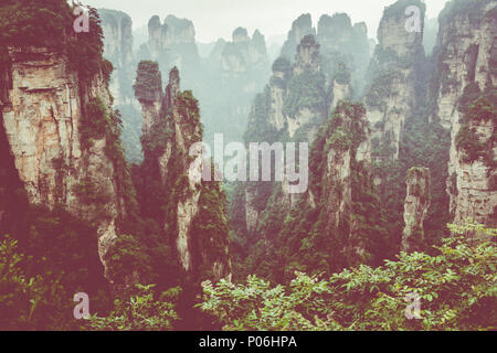 Zhangjiajie Forest Park. De gigantesques montagnes pilier du canyon. La province du Hunan, en Chine. Banque D'Images