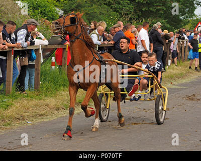 Homme et deux garçons en piège à chevaux galopant sur la colline-Appleby Westmorland dans la foule à Appleby annuel Horsefair, Cumbria, Angleterre, Royaume-Uni, 8 juin 2018. course piège à Appleby Crédit : Steve Holroyd/Alamy Live News Banque D'Images
