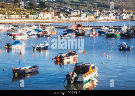 Tôt le matin dans le port de Lyme Regis dans le Dorset, UK. Banque D'Images