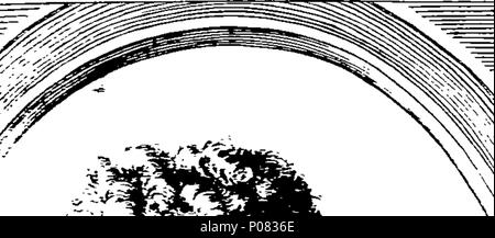 . Anglais : fleuron de livre : Conseils à l'ensemble des parties. Par l'auteur de la véritable naissance-English-Man. 269 Avis à toutes les parties. Par l'auteur de la véritable naissance-English-Man. Fleuron N002029-2 Banque D'Images