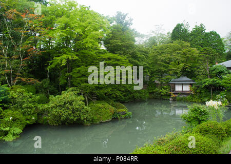 Nikko, JAPON - 23 juillet 2017 : les buissons de rhododendron fleurissent dans le jardin de l'UNESCO World Heritage Rinno-ji à Nikko, Japon. Banque D'Images