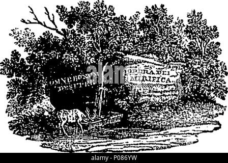 . Anglais : Fleuron du livre : une histoire générale de quadrupèdes. Les chiffres gravés sur bois par T. Bewick. 105 Une histoire générale de quadrupèdes. Les chiffres gravés sur bois par T. Bewick. Fleuron T060630-2 Banque D'Images