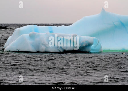 Berg de glace dans l'océan Atlantique au large des côtes de Terre-Neuve, Canada Banque D'Images