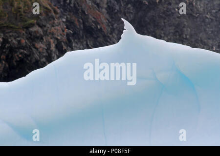 Berg de glace dans l'océan Atlantique au large des côtes de Terre-Neuve, Canada Banque D'Images