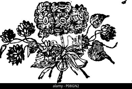 . Anglais : fleuron de livre : un voyage à partir de ce monde à l'autre, &c. &C. par Henry Fielding, Esq. 116 Un voyage à partir de ce monde à l'autre, etc. etc. par Henry Fielding, Esq. Fleuron T137300-17 Banque D'Images