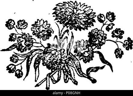 . Anglais : fleuron de livre : un voyage à partir de ce monde à l'autre, &c. &C. par Henry Fielding, Esq. 116 Un voyage à partir de ce monde à l'autre, etc. etc. par Henry Fielding, Esq. Fleuron T137300-22 Banque D'Images