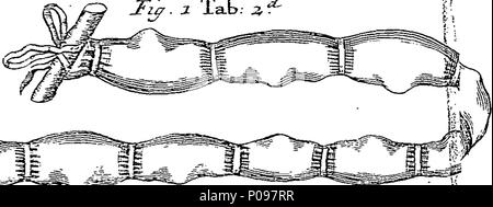 . Anglais : Fleuron du livre : une histoire naturelle et médicinale de vers. Produites dans le corps des hommes et les autres animaux ; prises par les autorités, et les observations de tous les auteurs qui ont traité de celle-ci, à partir d'Hippocrate à cette époque : avec une enquête sur l'original de vers, et les recours dont les détruire, avec une formule particulière de médicaments adaptés à l'usage des familles, et d'illustrer avec plusieurs coupes de cuivre. Fait à partir de l'Amérique de D. Le Clerc, M.D. par le compilateur de l'histoire générale des drogues, de Pomet, Lemery, Tournefort, &c. 135 Une histoire naturelle et médicinale Banque D'Images