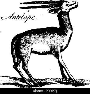 . Anglais : fleuron de livre : un nouveau système précis d'histoire naturelle. En six volumes. Contenant, I. L'histoire des quadrupèdes, y compris les animaux amphibies, les grenouilles et les lézards. II. L'histoire d'oiseaux, avec la méthode de l'éducation de ceux de la sorte de chant. III. L'histoire de poissons et de serpents, y compris les tortues de mer, poissons et coquillages Crustaceous. Pour ce qui est ajouté, tout l'Art du flotteur et de la pêche de mouche, les meilleures règles pour le choix d'attaquer, et une description des richesses naturelles et d'appâts artificiels. IV. L'histoire des insectes. C. L'histoire de l'eau, des masses, des pierres, des fossiles, et la mienne Banque D'Images