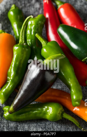 Piments assorties biologiques crus prêts à cuire Banque D'Images