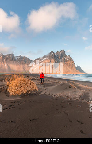 Man in red jacket la marche sur la plage de lave noire, plage de sable fin, de dunes avec de l'herbe sèche, les montagnes Klifatindur Banque D'Images