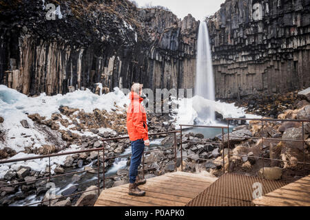 Cascade de Svartifoss, chutes de la rivière Noire, Stórilaekur, colonnes de basalte, le parc national de Skaftafell, l'Islande, Islande Banque D'Images