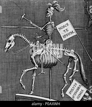 . Deutsch : Das Feststellung Aal des Dragoners im Leidener Anatomischen Theatre. Ausschnitt aus einem Stich Willem Swanenburghs nach einer Mischtechnik Johannes Woudanus' . 1610. Johannes Woudanus / Willem Swanenburgh Aal 255 der Dragoner Banque D'Images