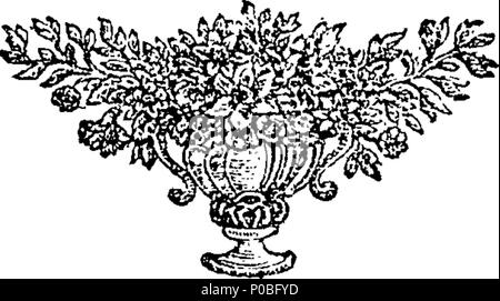 . Anglais : fleuron de livre : un catalogue alphabétique des livres et des brochures, en Anglais, Français, Latin, et appartenant à la bibliothèque, dans Crane-Court. Vendu (selon le plan ci-annexé) à un nombre limité d'abonnés, pour une Guinée chacun, à l'achat, et l'un Shilling, un quart en plus, pour l'appuyer. Avec un index copieux, réduisant chaque sujet à sa classe propre ou de la tête. 303 un catalogue alphabétique des livres et des brochures, en Anglais, Français, Latin, et appartenant à la bibliothèque, dans Crane-Court Fleuron T121489-2 Banque D'Images