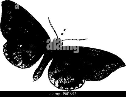 . Anglais : fleuron de livre : un épitomé de l'histoire naturelle des insectes de l'Inde, et les îles dans la mer Indienne : comprenant plus de deux cent cinquante figures et descriptions des plus singulières et belles espèces, principalement de celles sélectionnées récemment découvert, et qui n'ont pas comparu dans les Œuvres d'un auteur précédent. Les chiffres sont bien dessiné, gravé, et de couleur, à partir de spécimens d'insectes ; les descriptions sont classés selon le système de Linné, avec des références aux écrits de Fabricius, et d'autres auteurs systématique. Par E. Donovan, Banque D'Images