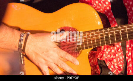 Le guitariste flamenco Banque D'Images