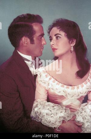 Titre original : Arbre de vie. Titre en anglais : Arbre de vie. Film Réalisateur : EDWARD DMYTRYK. Année : 1957. Stars : ELIZABETH TAYLOR, Montgomery CLIFT. Credit : M.G.M / Album Banque D'Images