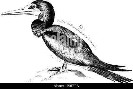 . Anglais : fleuron de livre : un voyage aux îles de la Barbade, Madera, Nieves, S. Christophers et la Jamaïque, avec l'histoire naturelle des herbes et des arbres, Four-Footed bêtes, poissons, oiseaux, insectes, reptiles, &c. de la dernière de ces îles ; pour ce qui est qu'une introduction, préfixe dans laquelle est un compte des habitants, l'air, les eaux, les maladies, le commerce, &c. de ce lieu, avec certaines relations concernant les pays africains voisins, et les îles d'Amérique. Illustré par les chiffres des choses describ'd, qui n'ont pas été gravés ; en grande jusqu'Copper-Plates aussi grand que la vie. Par H Banque D'Images