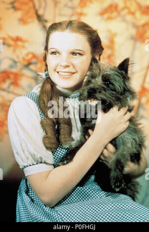 Titre original : The Wizard Of Oz. Titre en anglais : The Wizard Of Oz. Directeur de film : VICTOR FLEMING. Année : 1939. Stars : Judy Garland. Credit : M.G.M / Album Banque D'Images