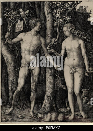 266 Adam et Eve debout de chaque côté de l'arbre de la connaissance avec le serpent par Albrecht Dürer Banque D'Images