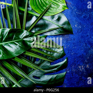 Arrière-plan de feuilles tropicales créative. Trandy feuilles tropicales sur fond ardoise bleue - couleur de l'année 2018. Vue de dessus, copiez l'espace. Banque D'Images