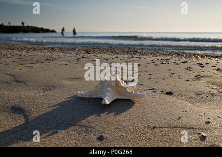 Tôt le matin sur la plage à Pomorie resort en Bulgarie Banque D'Images