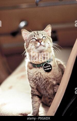 Titre original : somnambules. Titre en anglais : somnambules. Directeur : MICK GARRIS Film. Année : 1992. Credit : Columbia Pictures / Album Banque D'Images