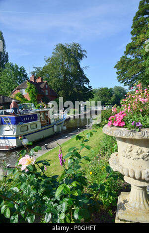 Les plantes d'été à la floraison de Sonning avec bateau à moteur. Sonning-on-Thames, Berkshire, Royaume-Uni, Grande Bretagne Banque D'Images