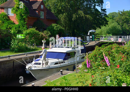 Les plantes d'été à la floraison de Sonning avec bateau à moteur. Sonning-on-Thames, Berkshire, Royaume-Uni, Grande Bretagne Banque D'Images