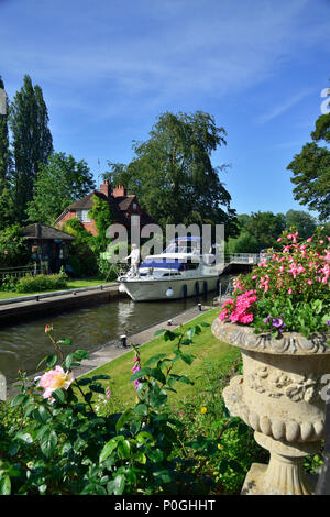 Les plantes d'été à la floraison de Sonning avec bateau à moteur. Sonning-on-Thames, Berkshire, Royaume-Uni, Grande Bretagne Banque D'Images