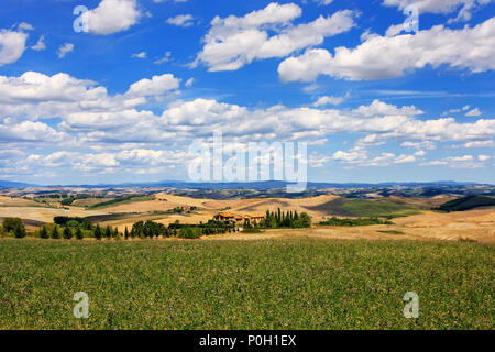 Les champs agricoles de Val d'Orcia en Toscane, Italie. En 2004, le Val d'Orcia a été ajouté à la liste du patrimoine mondial de l'UNESCO Banque D'Images