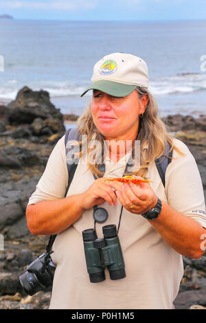 Guide naturaliste montrant la coquille de Sally Lightfoot crab (Grapsus grapsus) sur le chapeau chinois island, Parc National des Galapagos, Equateur Banque D'Images