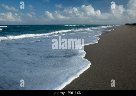 Beach surf, Blowing Rocks Preserve, en Floride Banque D'Images