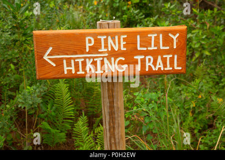 Trail sign, Royal Palm Beach, Floride Aire Naturelle de pins Banque D'Images