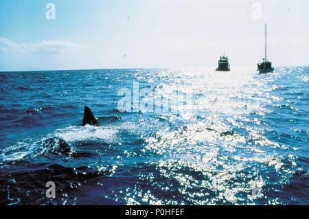 Titre original : JAWS 3-D. Titre en anglais : JAWS 3-D. Directeur de film : Joe Alves. Année : 1983. Stars : Dennis Quaid. Credit : UNIVERSAL PICTURES / Album Banque D'Images