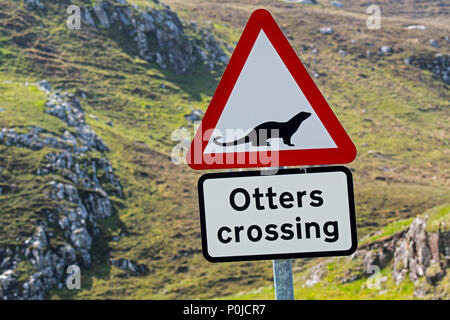 La loutre eurasienne / loutre d'Europe (Lutra lutra) route panneau d'avertissement pour les loutres crossing street sur la côte de l'Écosse, Royaume-Uni Banque D'Images