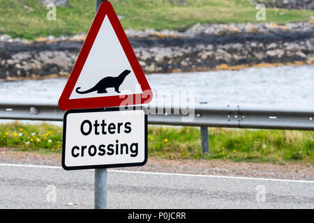 La loutre eurasienne / loutre d'Europe (Lutra lutra) route panneau d'avertissement pour les loutres crossing street sur la côte de l'Écosse, Royaume-Uni Banque D'Images