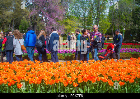 Les visiteurs du jardin de tulipes. Jardin botanique royal, Madrid, Espagne. Banque D'Images