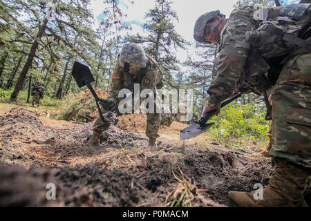 Le 250th Finance Detachment est une unité de la Garde nationale de l'armée du New Jersey responsable de la gestion financière et des opérations de soutien. L'image d'archive documente plusieurs soldats construisant des positions de combat précipitées pendant l'entraînement de défense de la base dirigé par la 174e brigade d'infanterie à la base conjointe McGuire-dix-Lakehurst le 5 juin 2018. Banque D'Images