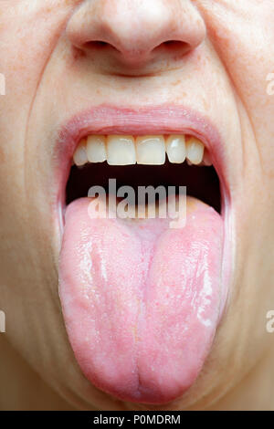 Portrait sa langue, Close Up Banque D'Images